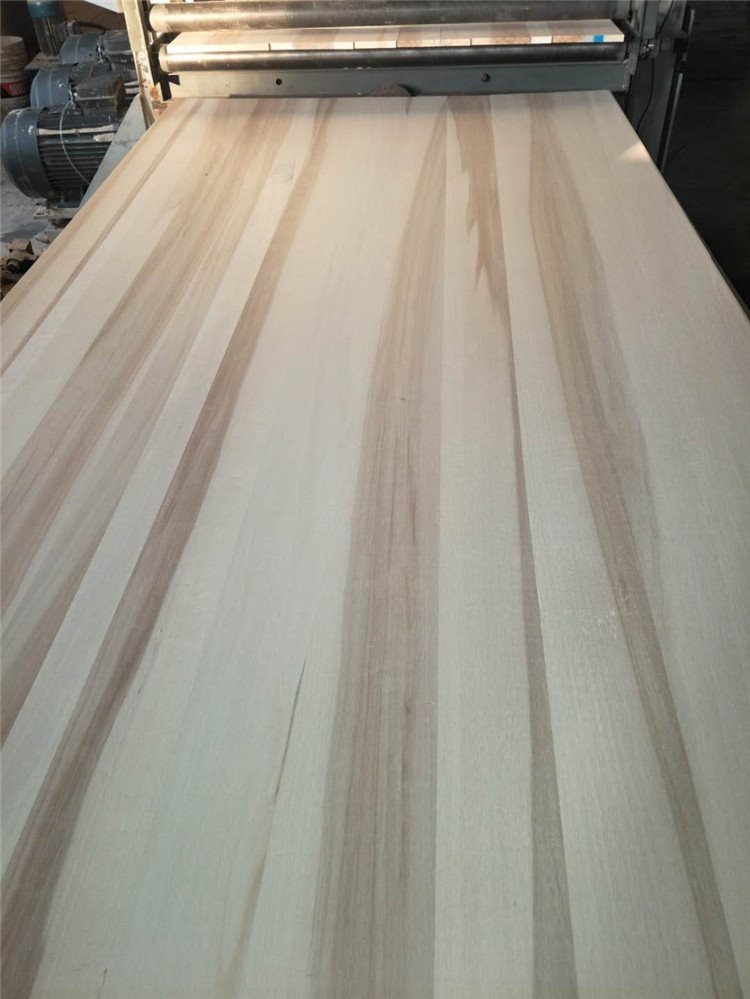 Topola Balance Board